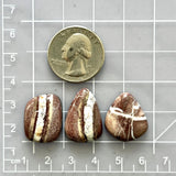 Large Red Mixed White Buffalo Dolomite, Set of 3 Dimensions