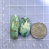 Large Sea Green Oval Wild Horse Turquoise, Set of 2 Dimensions