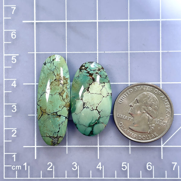 Large Sea Green Oval Wild Horse Turquoise, Set of 2 Dimensions