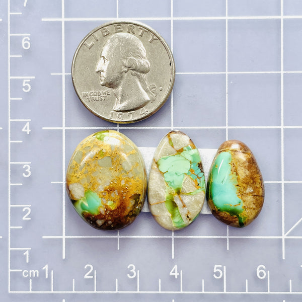 Medium Faint Green Mixed Royston Turquoise, Set of 3 Dimensions