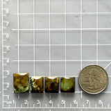 Medium Earth Brown Mixed Treasure Mountain Turquoise, Set of 4 Dimensions