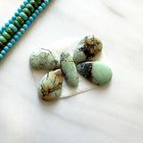 Medium Mixed Mixed Crescent Lake Variscite, Set of 5 Background