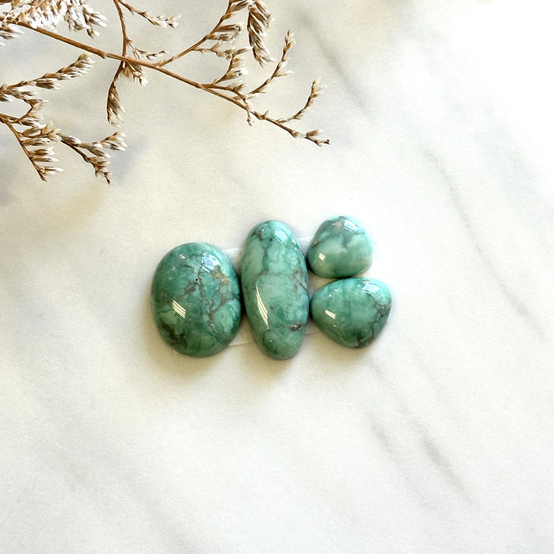 Medium Mint Green Mixed Broken Arrow Variscite, Set of 4 Background