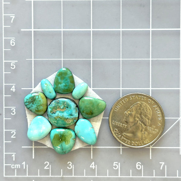 Small Sea Green Mixed Lone Mountain Turquoise, Set of 9 Dimensions