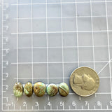 Small Mint Green Mixed Crescent Lake Variscite, Set of 5 Dimensions