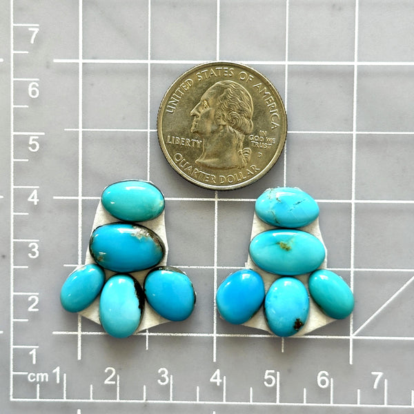 Small Sky Blue Mixed Sleeping Beauty Turquoise, Set of 10 Dimensions