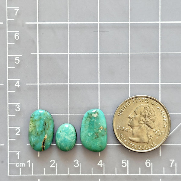 Small Mint Green Freeform Kingman Turquoise, Set of 3 Dimensions