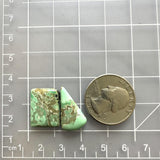 Medium Lime Green Mixed Treasure Mountain Turquoise, Set of 2 Dimensions