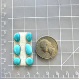 Small Sky Blue Freeform Sleeping Beauty Turquoise, Set of 6 Dimensions