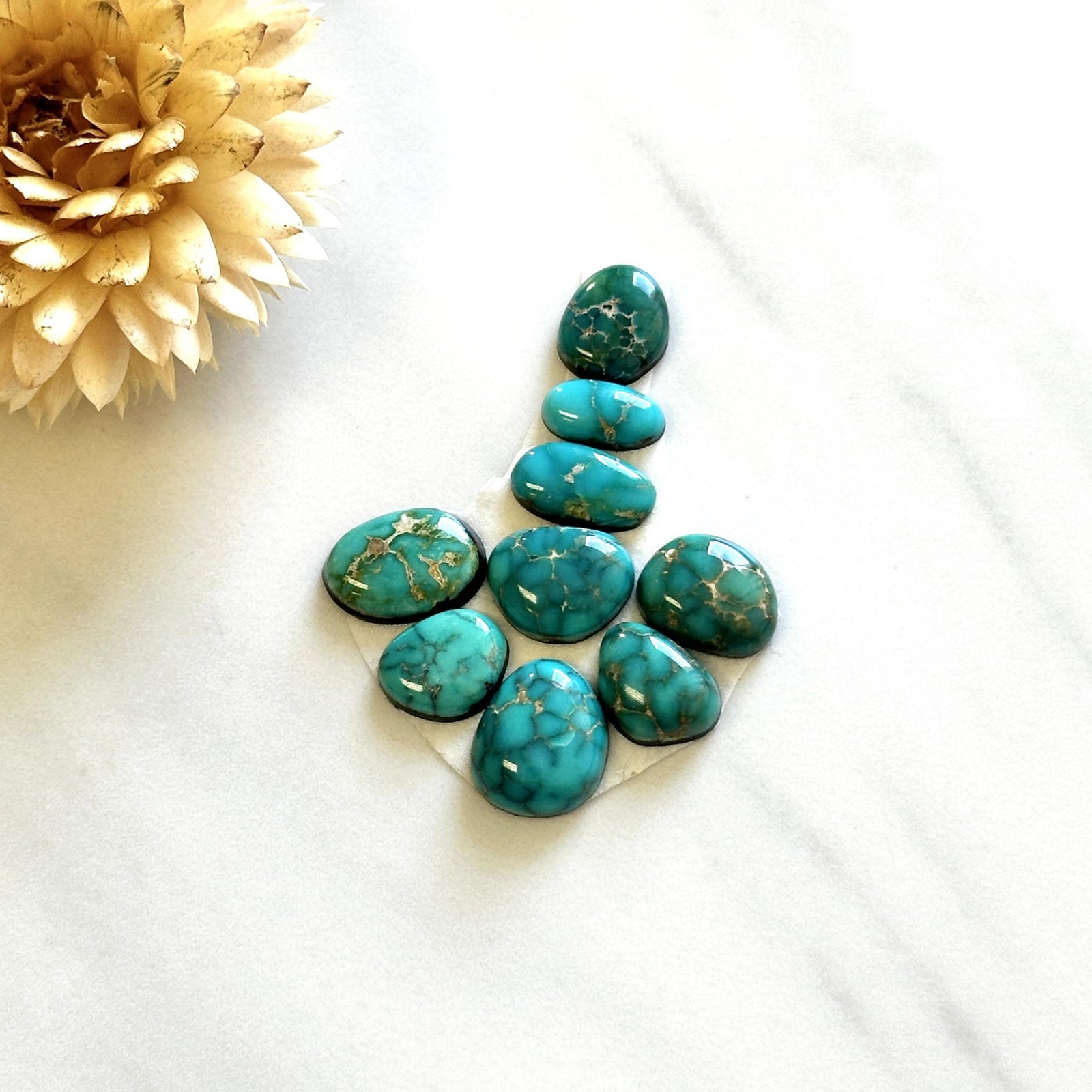 Small Sea Green Mixed Lone Mountain Turquoise, Set of 9