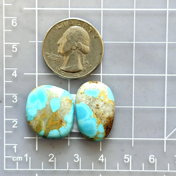 Medium Sky Blue Freeform Royston Turquoise, Set of 2 Dimensions