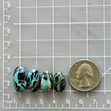 Large Sky Blue Oval Blue Moon Turquoise, Set of 4 Dimensions