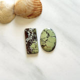 Large Sea Green Mixed Treasure Mountain Turquoise, Set of 2 Background