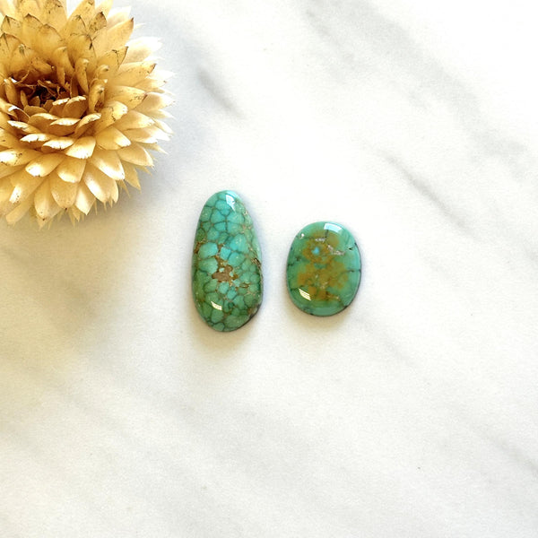 Medium Mint Green Mixed Lone Mountain Turquoise, Set of 2 Background