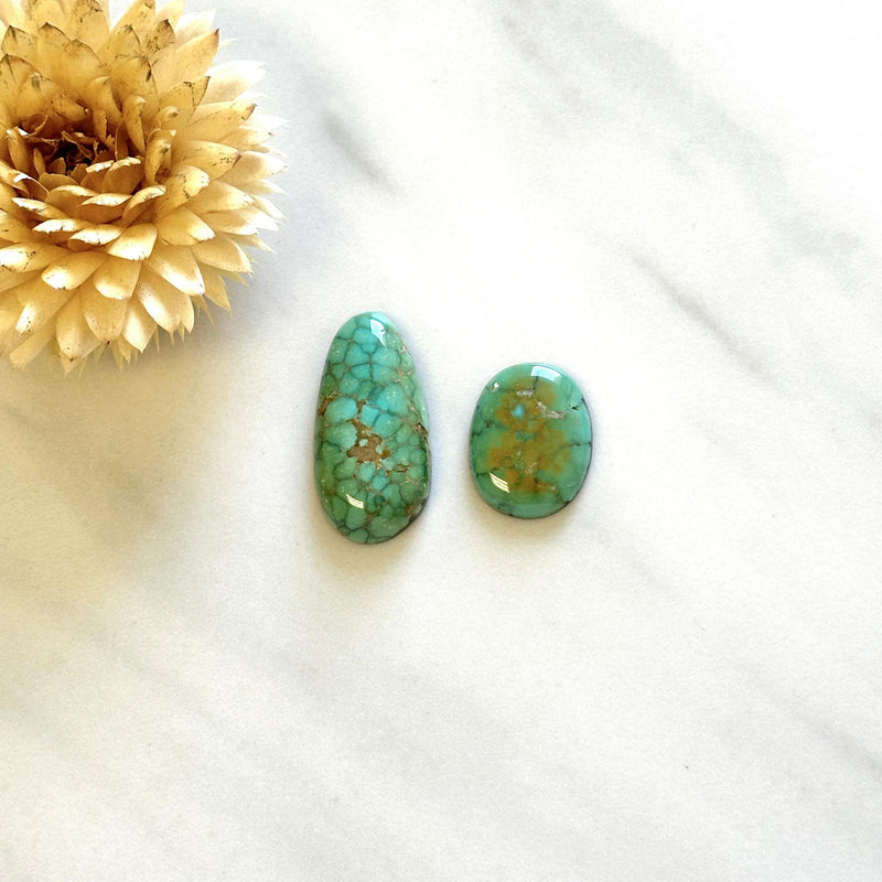 Medium Mint Green Mixed Lone Mountain Turquoise, Set of 2 Background