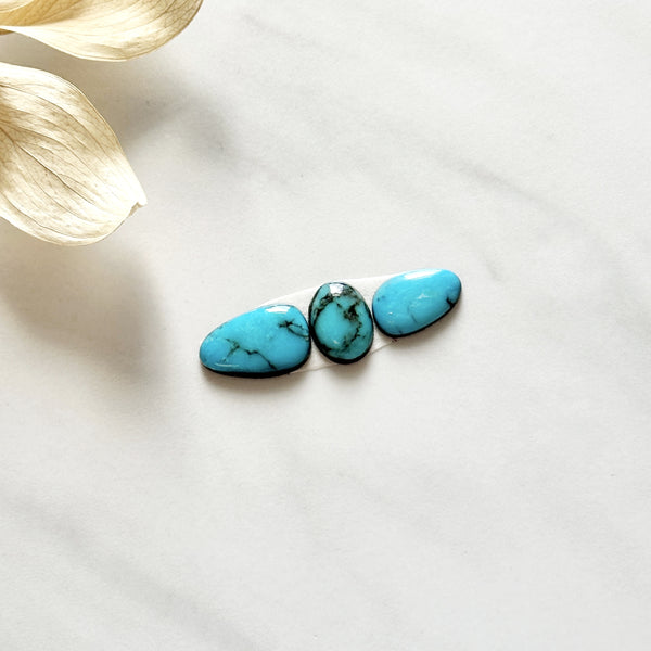 Small Sky Blue Freeform Kingman Turquoise, Set of 3 Background