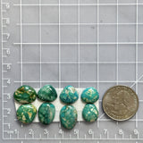 Small Deep Green Mixed Fox Turquoise, Set of 8 Dimensions