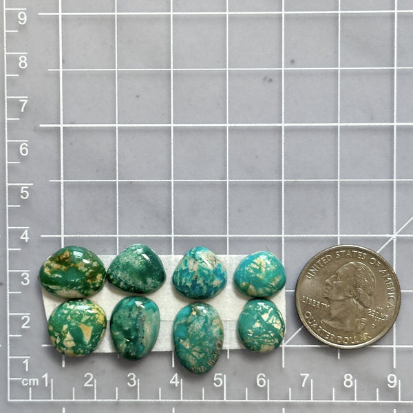 Small Deep Green Mixed Fox Turquoise, Set of 8 Dimensions