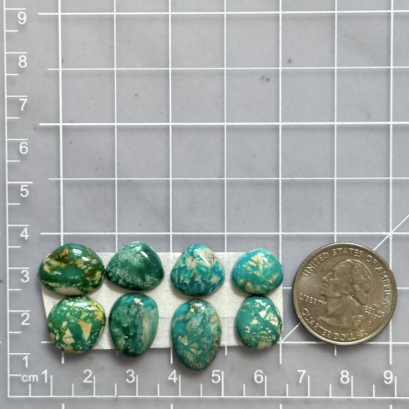 Small Deep Green Mixed Fox Turquoise, Set of 8 Dimensions