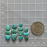 Small Sky Blue Mixed Lone Mountain Turquoise, Set of 13 Dimensions