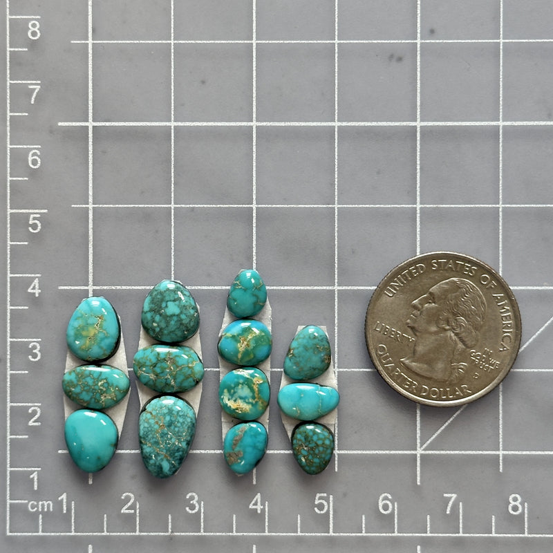 Small Sky Blue Mixed Lone Mountain Turquoise, Set of 13 Dimensions