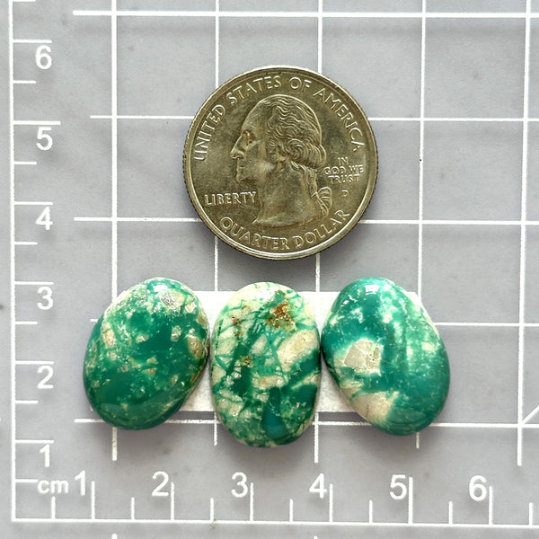 Medium Deep Green Mixed Fox Turquoise, Set of 3 Dimensions