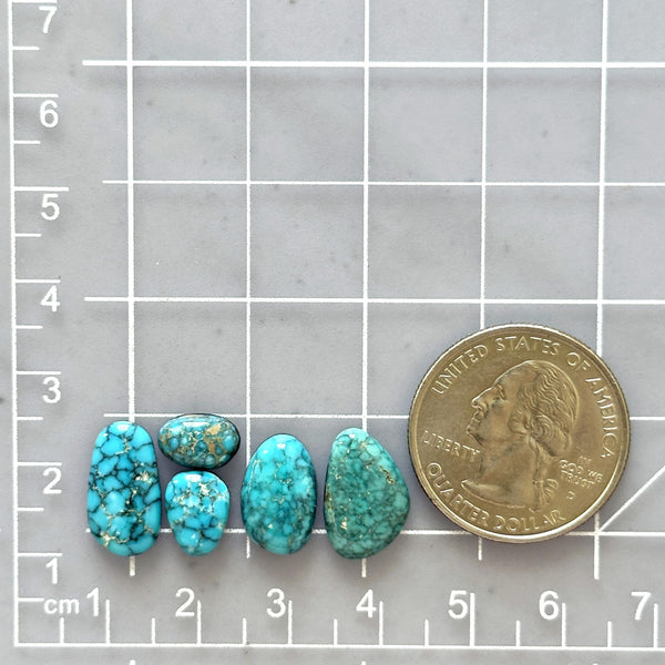 Small Sky Blue Mixed Lone Mountain Turquoise, Set of 5 Dimensions