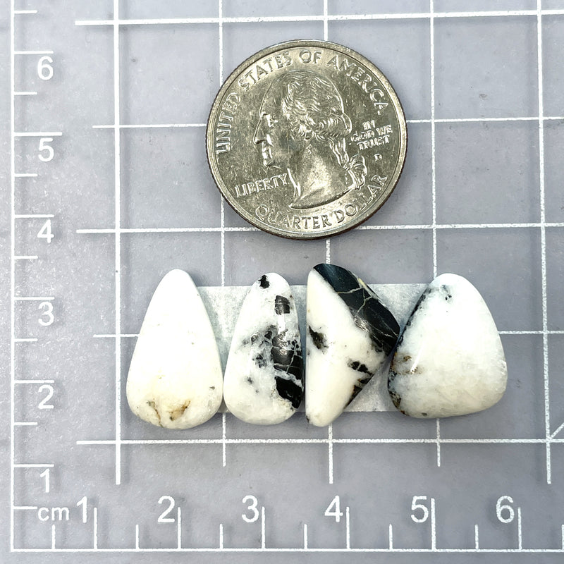 Medium White Mixed White Buffalo Dolomite, Set of 4 Dimensions