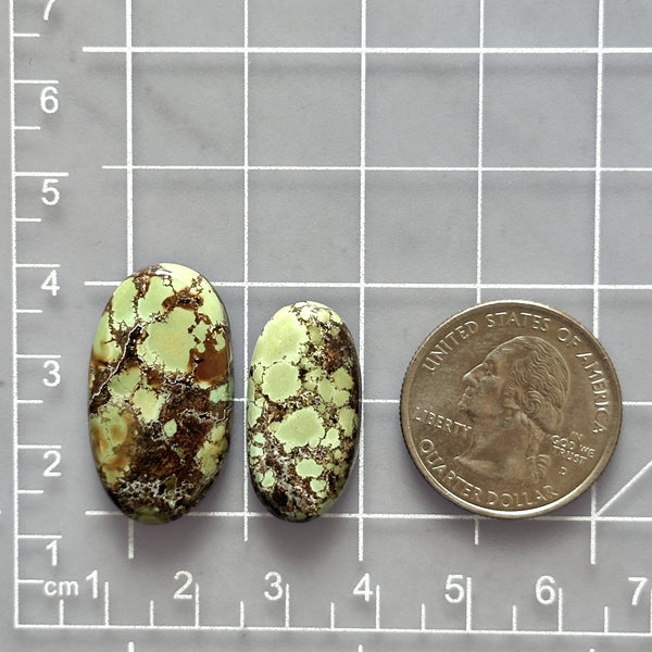 Large Sea Green Oval Treasure Mountain Turquoise, Set of 2 Dimensions