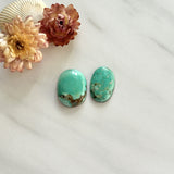 Medium Mint Green Oval Namtso Lake Turquoise, Set of 2 Background