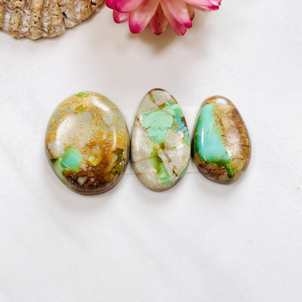 Medium Faint Green Mixed Royston Turquoise, Set of 3 Background