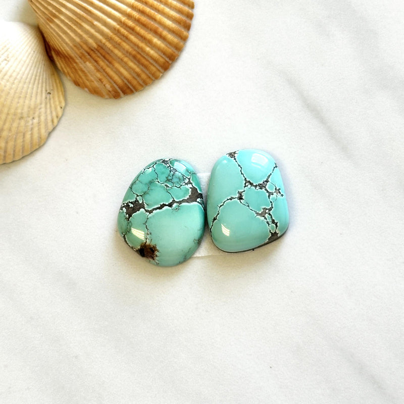 Medium Sky Blue Freeform Treasure Mountain Turquoise, Set of 2 Background