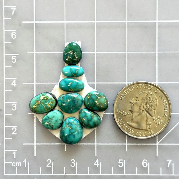 Small Sea Green Mixed Lone Mountain Turquoise, Set of 9 Dimensions