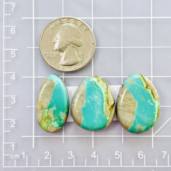 Large Sky Blue Freeform Royston Turquoise, Set of 3 Dimensions