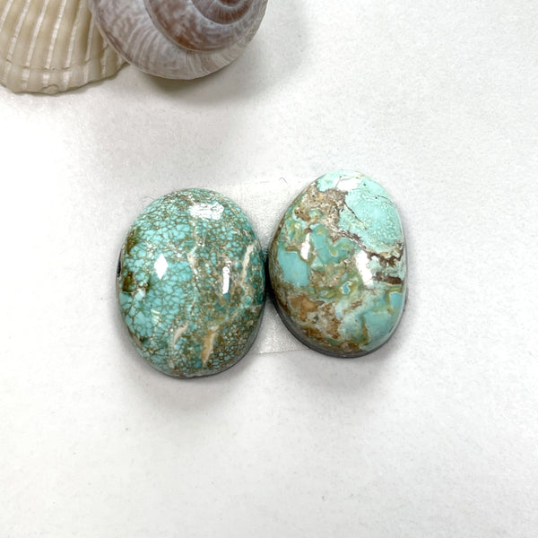 Medium Faint Green Mixed Carico Lake Turquoise, Set of 2 Background