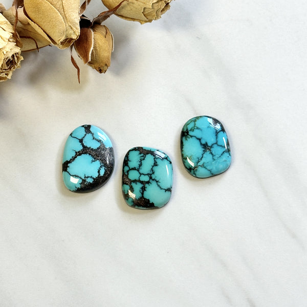 Large Sky Blue Freeform Yungai Turquoise, Set of 3 Background