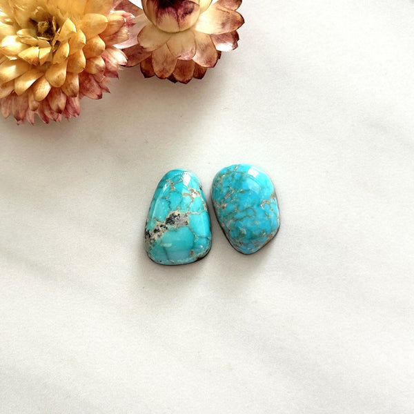 Small Sky Blue Mixed Lone Mountain Turquoise, Set of 2 Background
