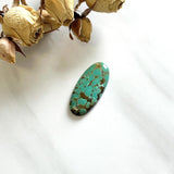 Large Sea Green Oval Namtso Lake Turquoise Background