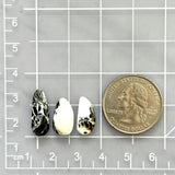 Medium Mixed Mixed White Buffalo Dolomite, Set of 3 Dimensions
