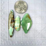 Large Sea Green Mixed Crescent Lake Variscite, Set of 3 Dimensions