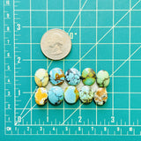 Small Mixed Oval Mixed Turquoise, Set of 10 Dimensions