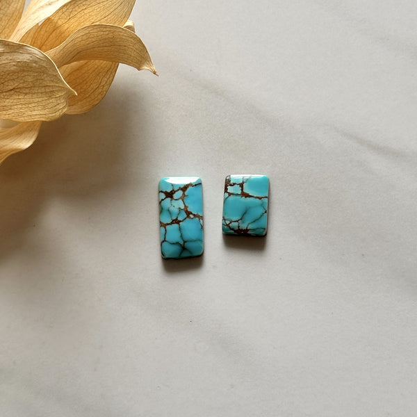 Medium Sky Blue Bar Yungai Turquoise, Set of 2 Background