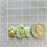 Small Mint Green Mixed Crescent Lake Variscite, Set of 3 Dimensions