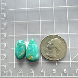 Large Sky Blue Mixed Fox Turquoise, Set of 2 Dimensions