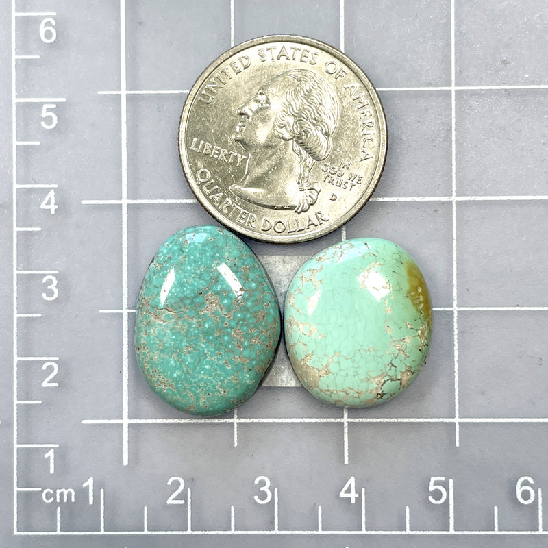 Medium Mixed Freeform Carico Lake Turquoise, Set of 2 Dimensions