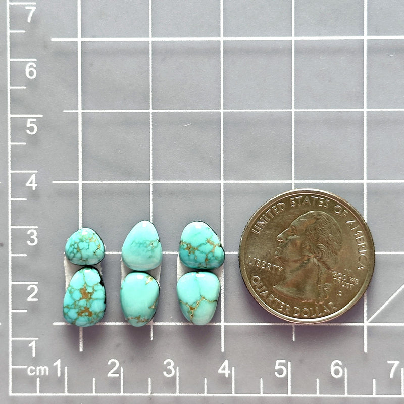 Small Sky Blue Mixed Lone Mountain Turquoise, Set of 6 Dimensions