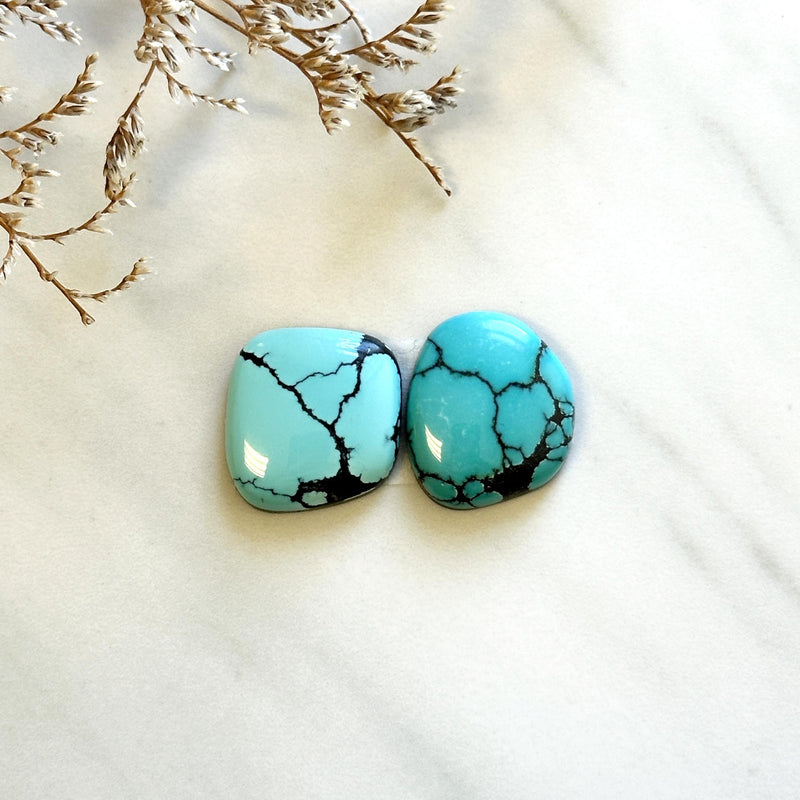 Large Sky Blue Freeform Yungai Turquoise, Set of 2 Background