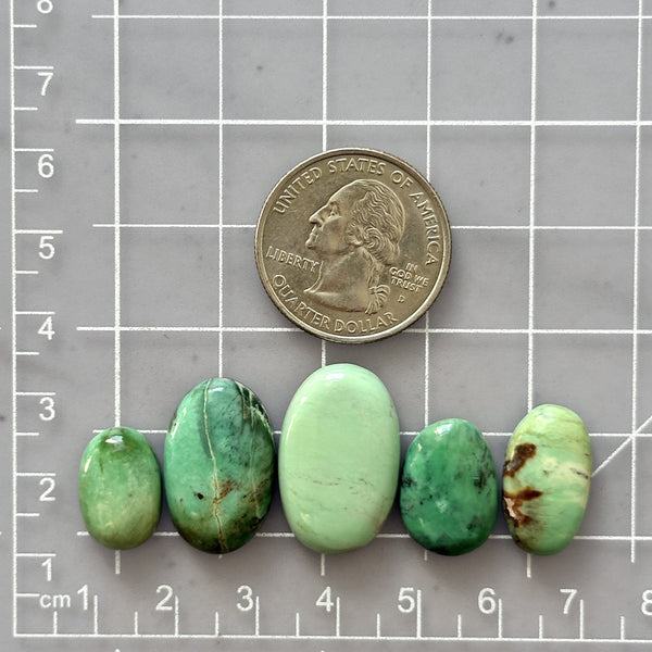 Medium Mint Green Oval Crescent Lake Variscite, Set of 5 Dimensions