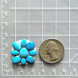 Small Sky Blue Mixed Sleeping Beauty Turquoise, Set of 9 Dimensions