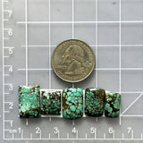 Medium Bamboo Green Mixed Bamboo Mountain Turquoise, Set of 5 Dimensions